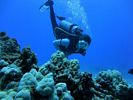 Hawaii Scuba divng 29