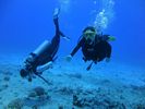 Hawaii Scuba divng 31