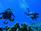 Hawaii Scuba divng 35