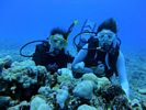 Hawaii Scuba divng 37