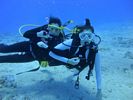 Hawaii Scuba divng 40