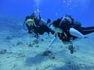 Hawaii Scuba divng 41