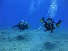 Hawaii Scuba divng 42