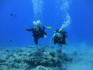 Hawaii Scuba divng 45