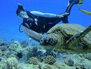 Hawaii Scuba divng 49