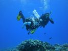 Hawaii Scuba divng 51