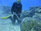 Hawaii Scuba divng 52