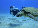 Hawaii Scuba divng 56