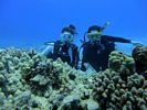 Hawaii Scuba divng 60