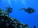 Hawaii Scuba divng 65