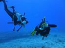 Hawaii Scuba divng 70