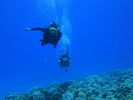 Hawaii Scuba divng 74