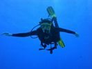 Hawaii Scuba divng 75