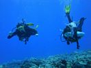 Hawaii Scuba divng 76