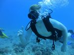 Hawaii Scuba divng 13