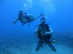 Hawaii Scuba divng 16