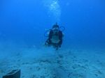 Hawaii Scuba divng 18