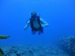 Hawaii Scuba divng 25