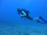 Hawaii Scuba divng 27