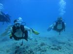 Hawaii Scuba divng 33