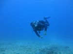 Hawaii Scuba divng 34