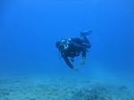 Hawaii Scuba divng 34