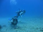 Hawaii Scuba divng 35