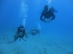 Hawaii Scuba divng 46