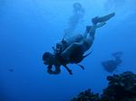 Hawaii Scuba divng 51