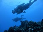 Hawaii Scuba divng 51