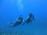 Hawaii Scuba divng 56