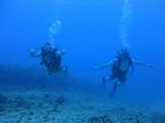 Hawaii Scuba divng 56