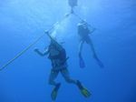 Hawaii Scuba divng 09