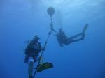 Hawaii Scuba divng 16