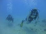 Hawaii Scuba divng 19