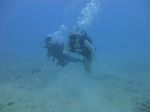 Hawaii Scuba divng 20