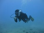 Hawaii Scuba divng 24