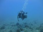 Hawaii Scuba divng 27