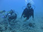 Hawaii Scuba divng 28