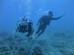 Hawaii Scuba divng 29