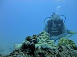 Hawaii Scuba divng 35