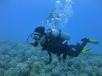 Hawaii Scuba divng 38