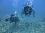 Hawaii Scuba divng 41