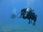 Hawaii Scuba divng 46