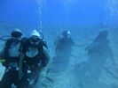 Hawaii Scuba divng 10