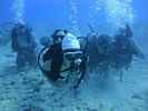 Hawaii Scuba divng 12