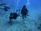 Hawaii Scuba divng 13