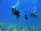 Hawaii Scuba divng 15