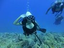 Hawaii Scuba divng 16