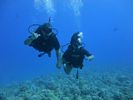 Hawaii Scuba divng 18